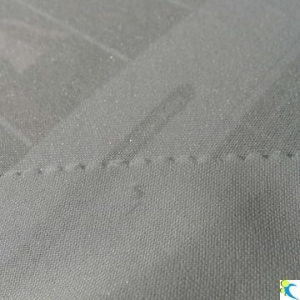 30D x 50D Plain Woven Stretch Interlining with Double Dot Coating, Product Interfacing Fabric