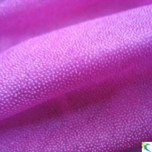 30D,Color Plain Weave Fusing Interlining