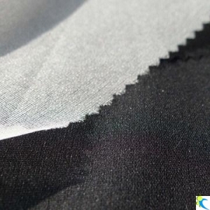 20D 100% Polyester Invisible Coating Plain Woven Interlining for Lady's Fashion Wear